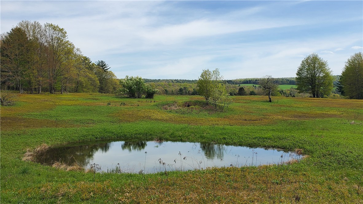 205 Sullivan Road Mount Vision, NY 13810 - Photo 41 of 49