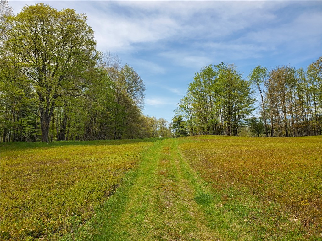 205 Sullivan Road Mount Vision, NY 13810 - Photo 42 of 49