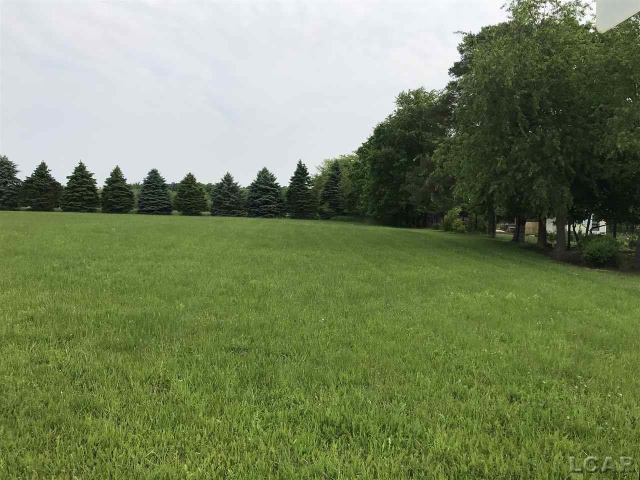 0 Country Club Road Adrian, MI 49221 - Photo 3 of 3