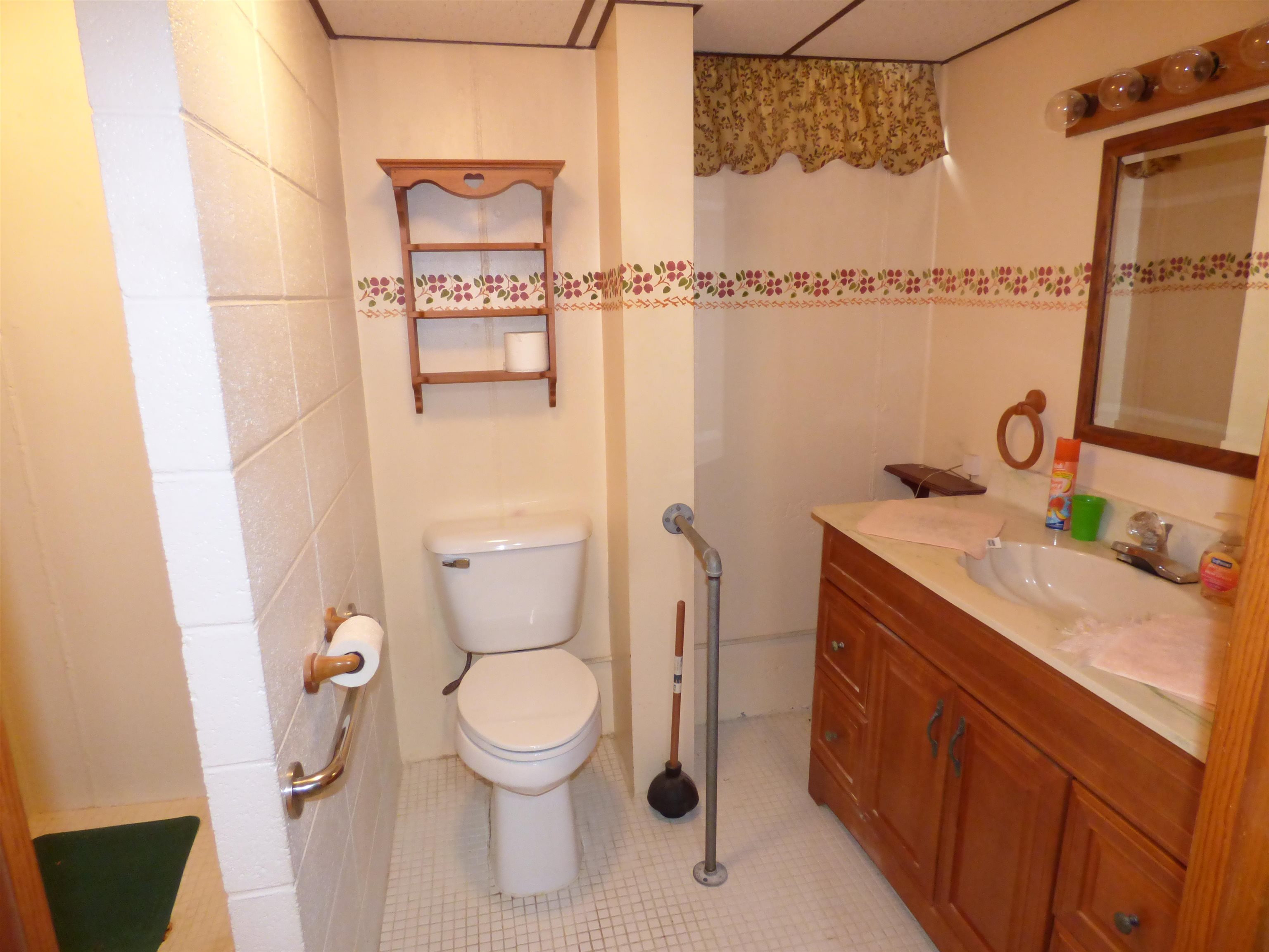 314 South Main Street Elizabeth, IL 61028 - Photo 32 of 43 a bathroom with a granite countertop sink toilet and shower