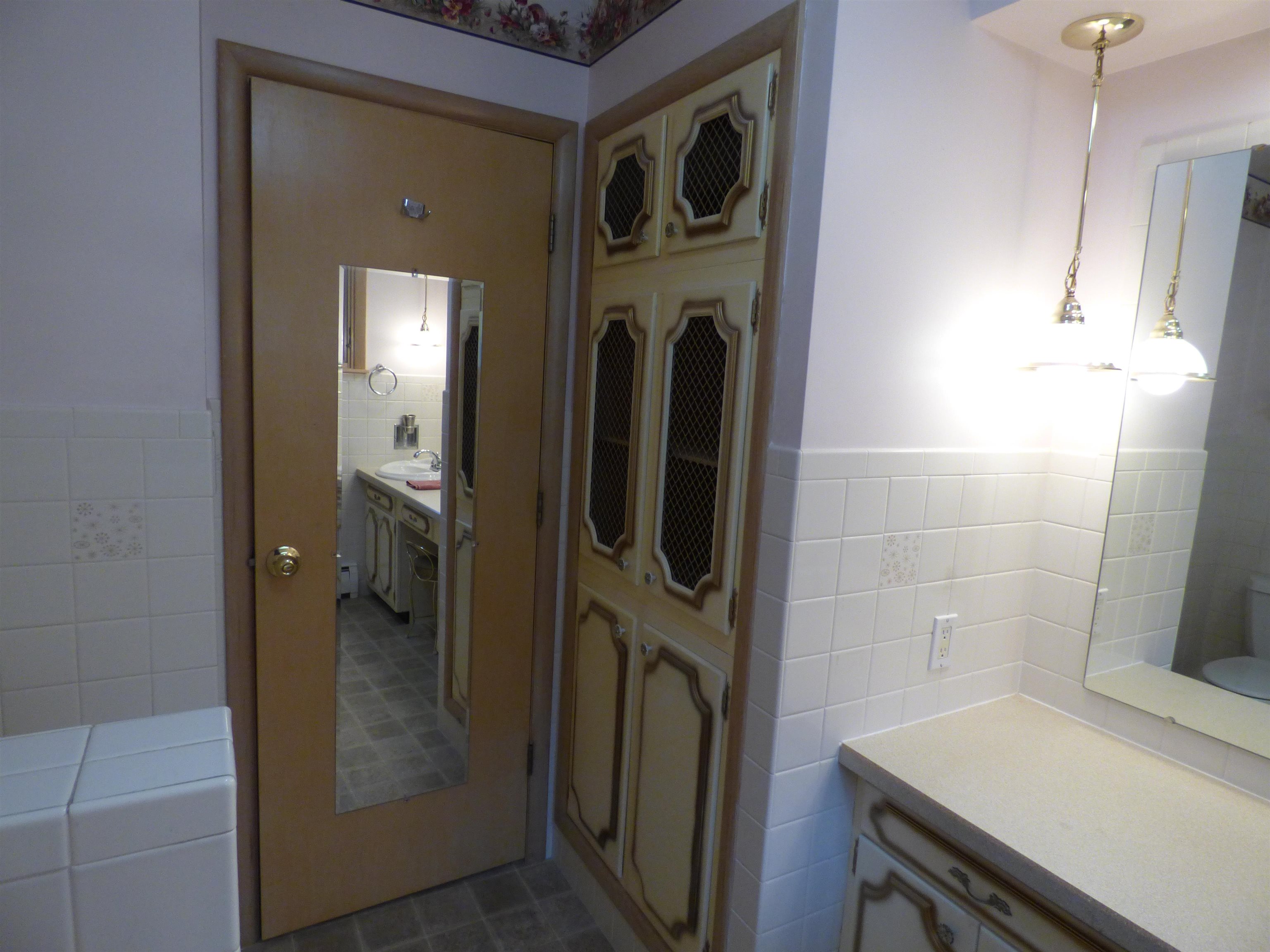 314 South Main Street Elizabeth, IL 61028 - Photo 35 of 43 a bathroom with a sink and a mirror