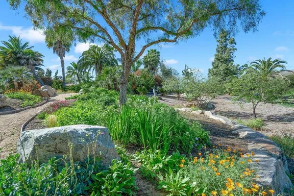 a view of a garden with a tree