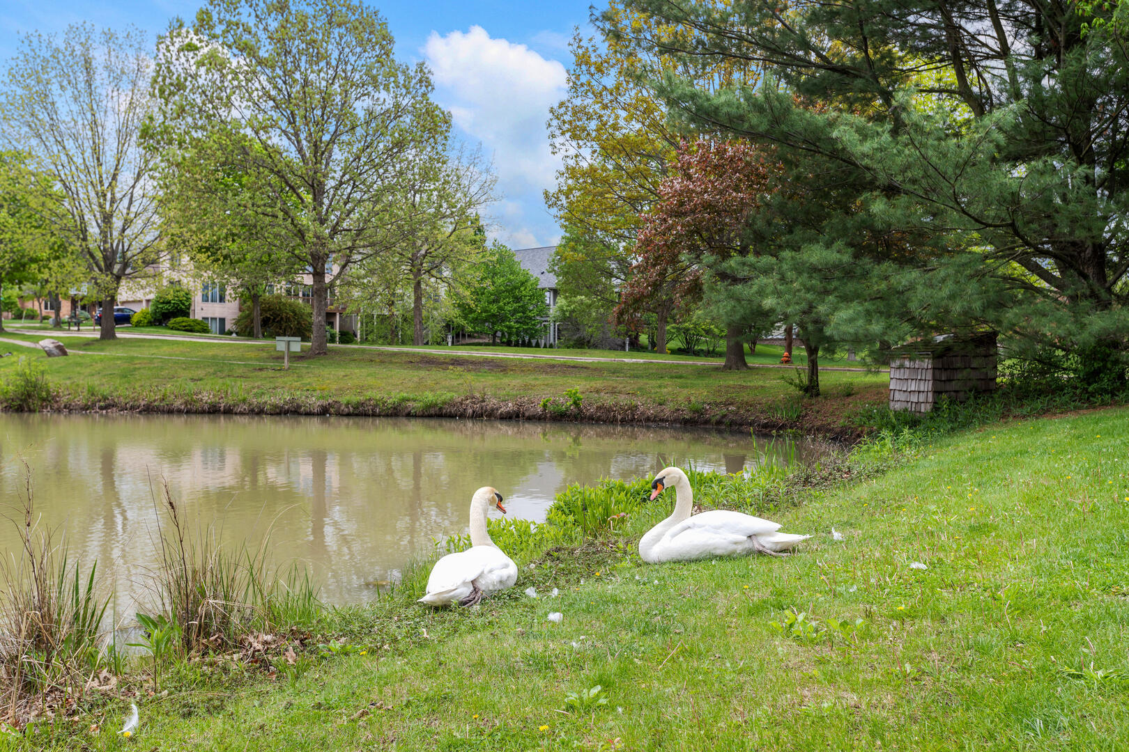 2410 Wendover Place Champaign, IL 61822 - Photo 61 of 68