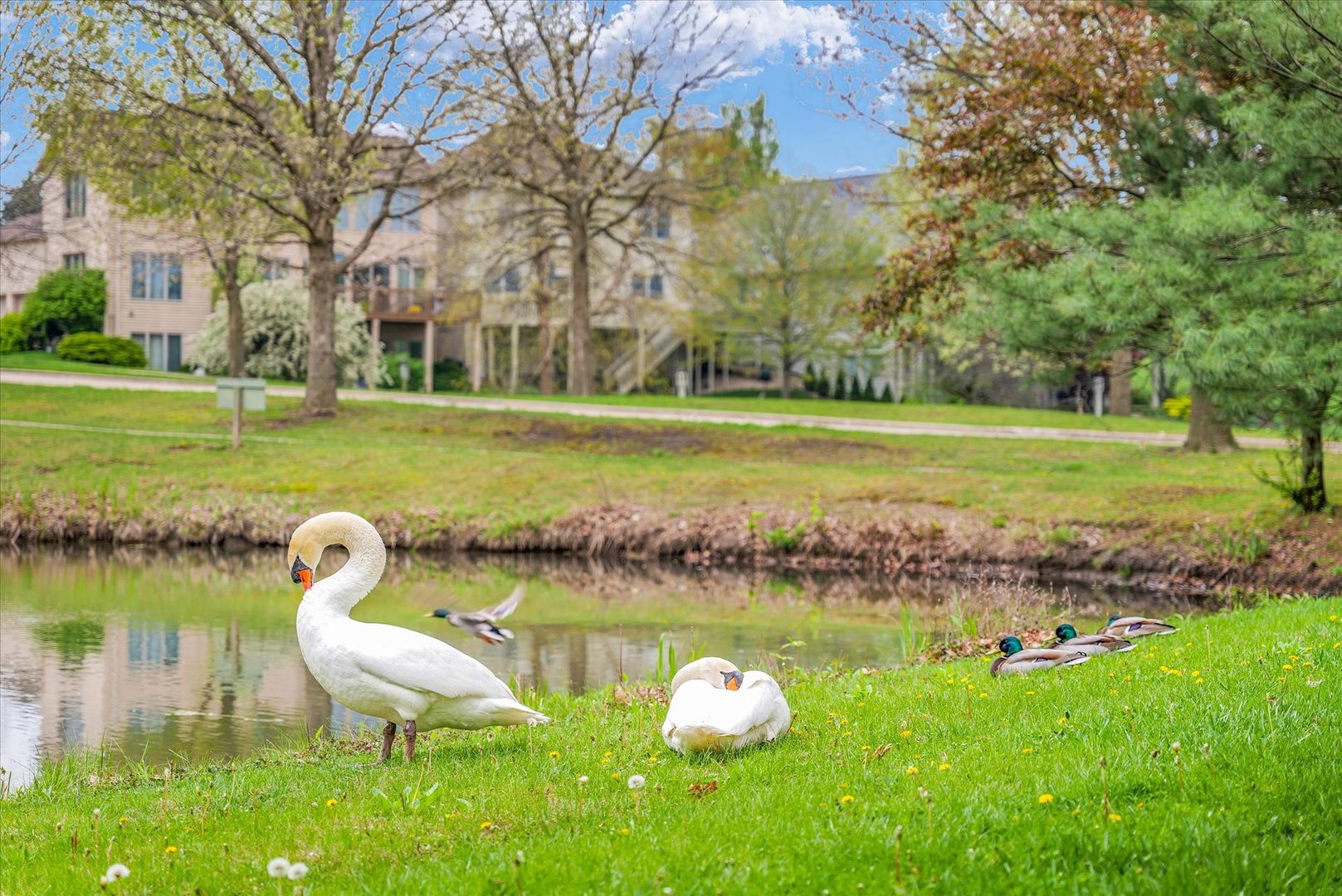 2410 Wendover Place Champaign, IL 61822 - Photo 62 of 68