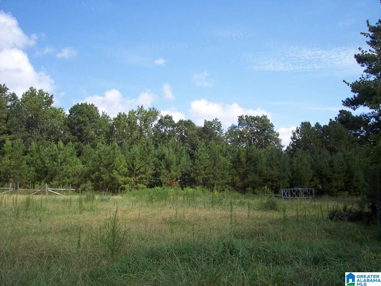 1561 Ross Lake Road Wellington, AL 36279 - Photo 42 of 50