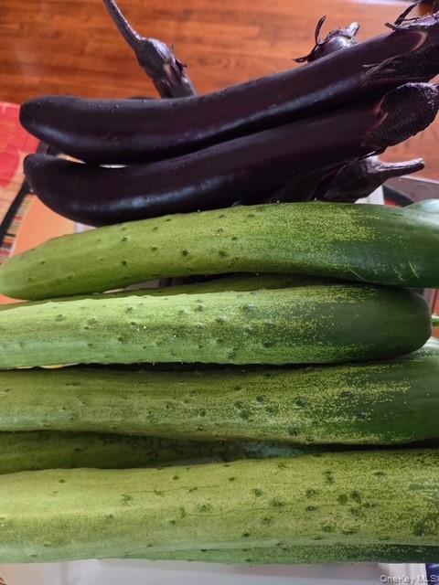 247 Croydon Road Yonkers, NY 10710 - Photo 12 of 27