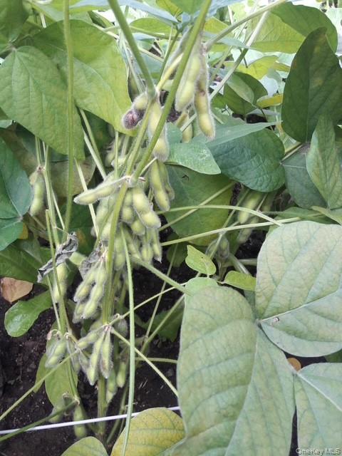 247 Croydon Road Yonkers, NY 10710 - Photo 13 of 27