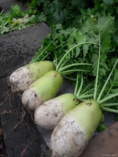 247 Croydon Road Yonkers, NY 10710 - Photo 14 of 27