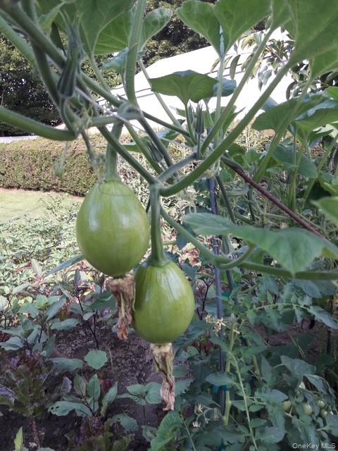 247 Croydon Road Yonkers, NY 10710 - Photo 15 of 27