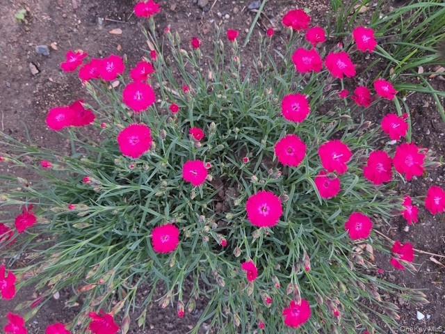 247 Croydon Road Yonkers, NY 10710 - Photo 19 of 27