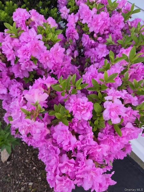 247 Croydon Road Yonkers, NY 10710 - Photo 20 of 27