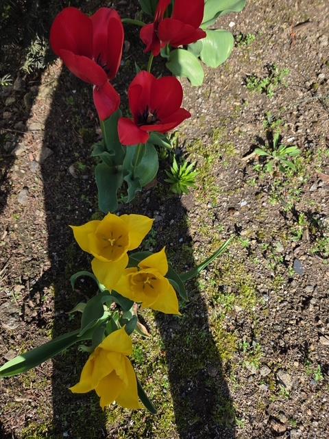 247 Croydon Road Yonkers, NY 10710 - Photo 22 of 27