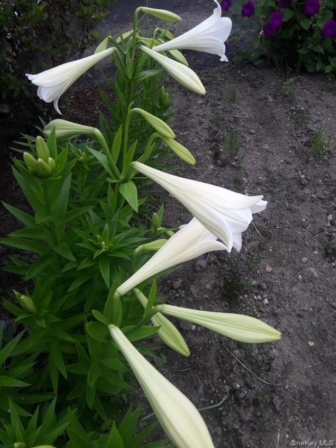 247 Croydon Road Yonkers, NY 10710 - Photo 23 of 27