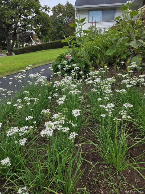 247 Croydon Road Yonkers, NY 10710 - Photo 25 of 27