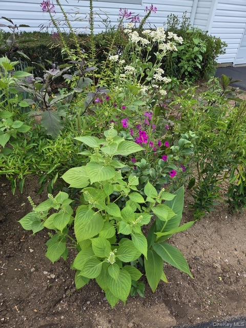 247 Croydon Road Yonkers, NY 10710 - Photo 27 of 27