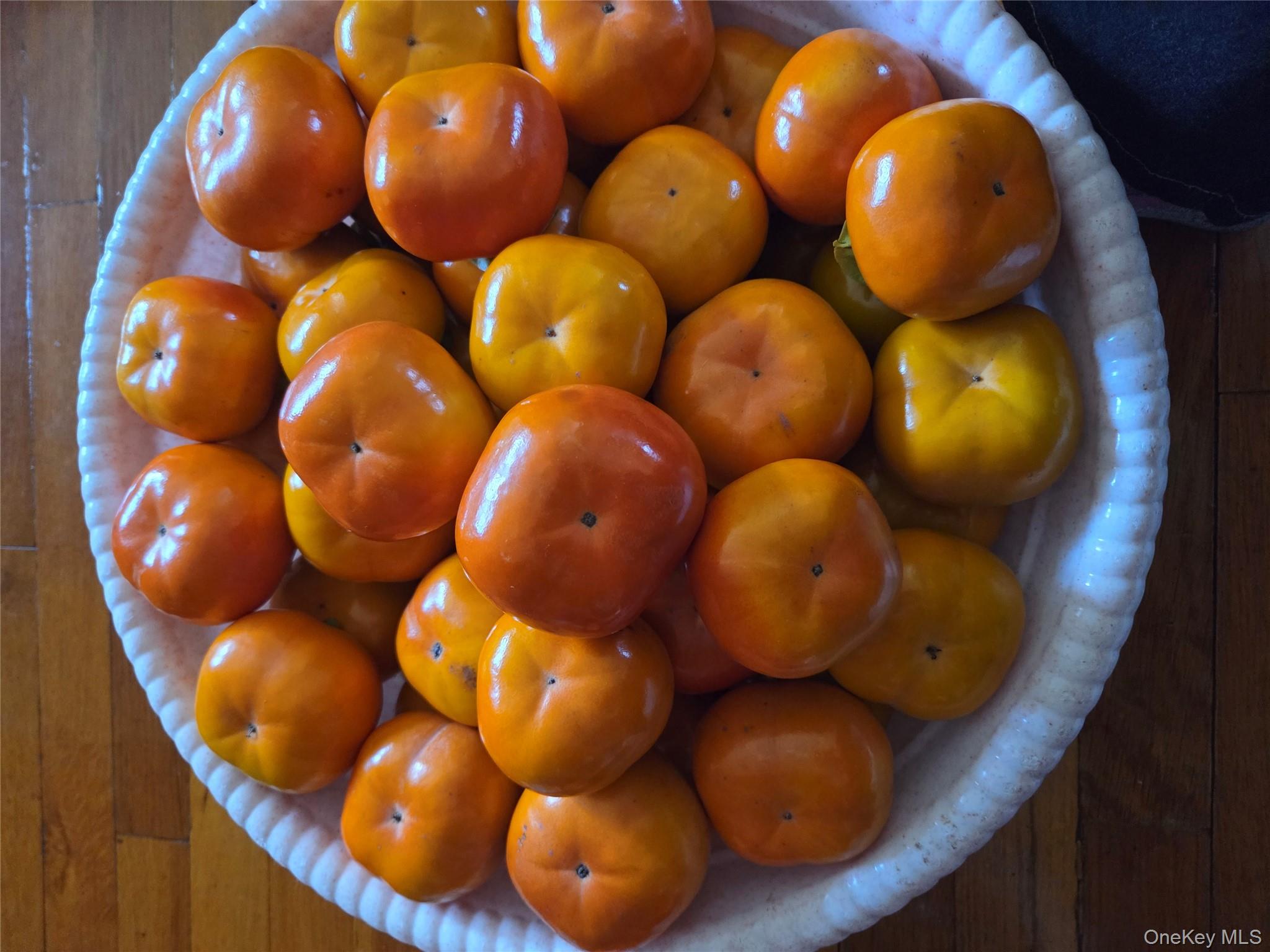 247 Croydon Road Yonkers, NY 10710 - Photo 45 of 49 These are some vegetables and fruits harvested from the backyard.