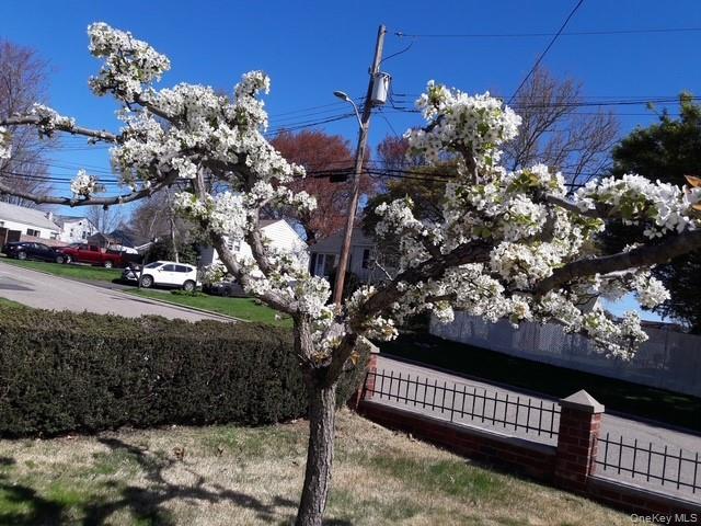 247 Croydon Road Yonkers, NY 10710 - Photo 9 of 27