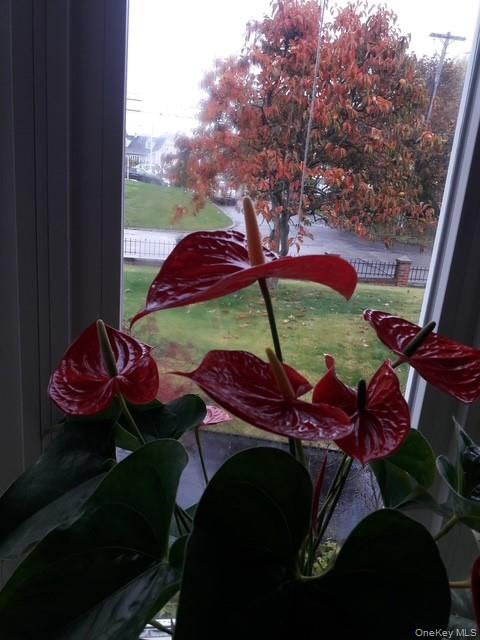 247 Croydon Road Yonkers, NY 10710 - Photo 10 of 27