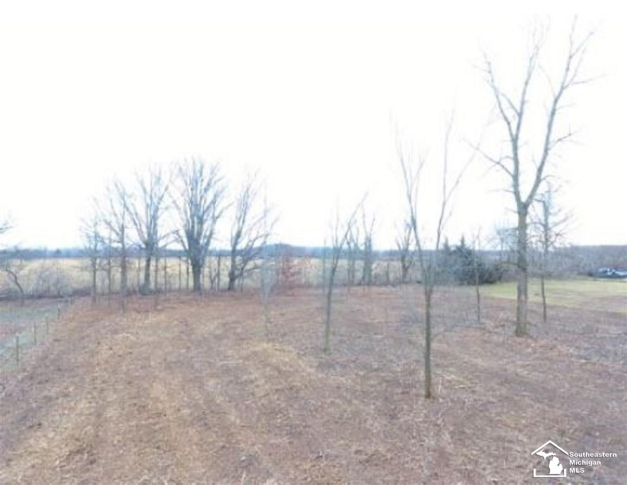 0 Morocco Road Blissfield, MI 49228 - Photo 2 of 6
