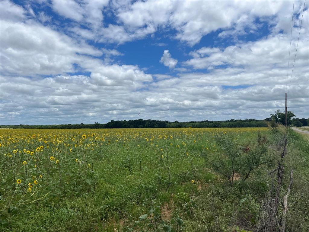 1 County Road 159 Bangs, TX 76823 - Photo 4 of 8
