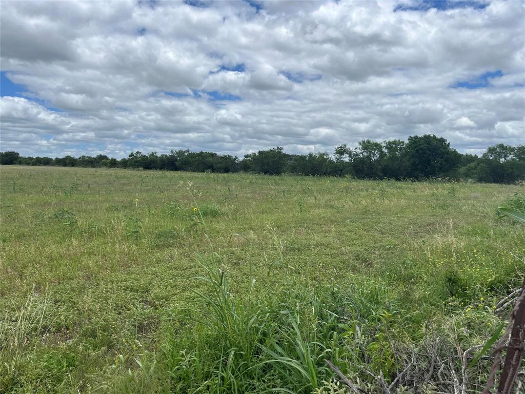 1 County Road 159 Bangs, TX 76823 - Photo 6 of 8