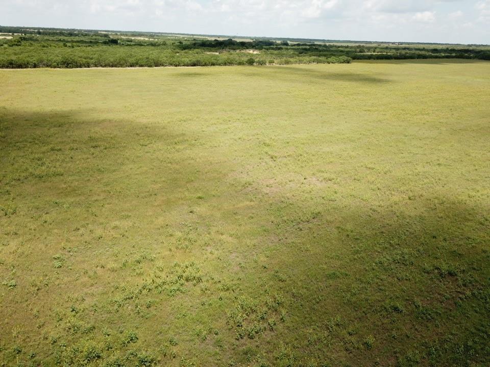 1 County Road 159 Bangs, TX 76823 - Photo 8 of 8