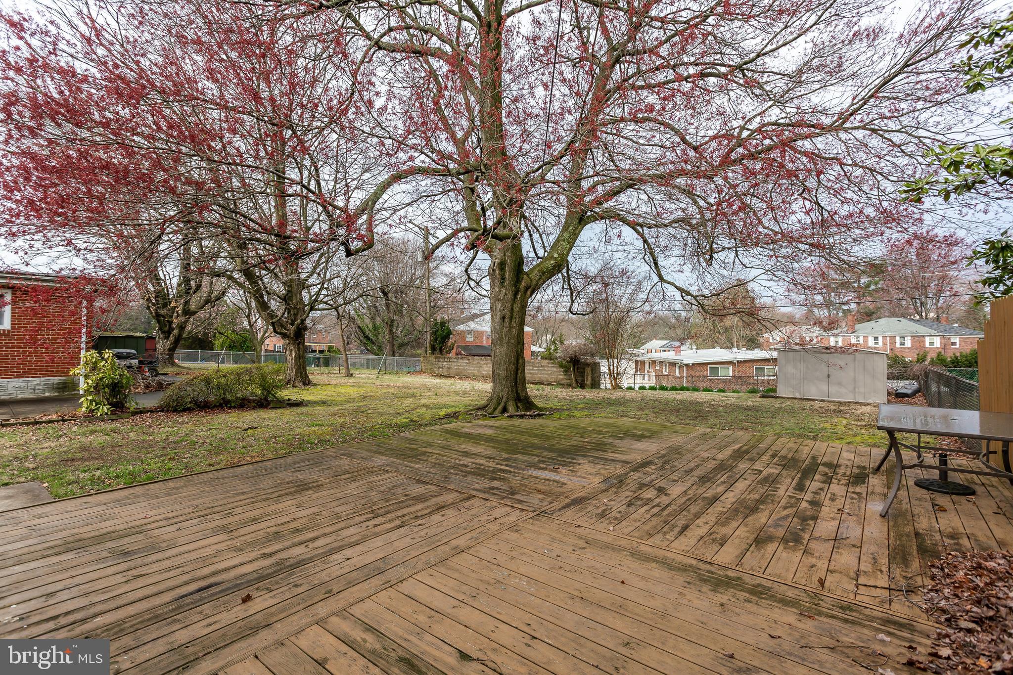 6838 Queens Ferry Road Baltimore, MD 21239 - Photo 28 of 29