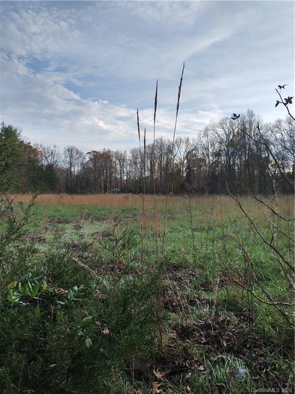 3200 Peniel Road Tryon, NC 28782 - Photo 33 of 44