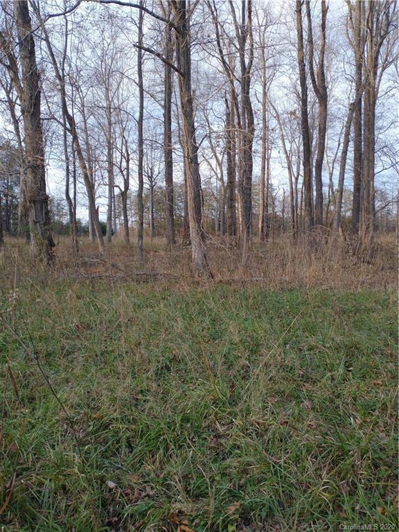 3200 Peniel Road Tryon, NC 28782 - Photo 34 of 44
