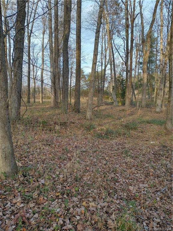 3200 Peniel Road Tryon, NC 28782 - Photo 35 of 44