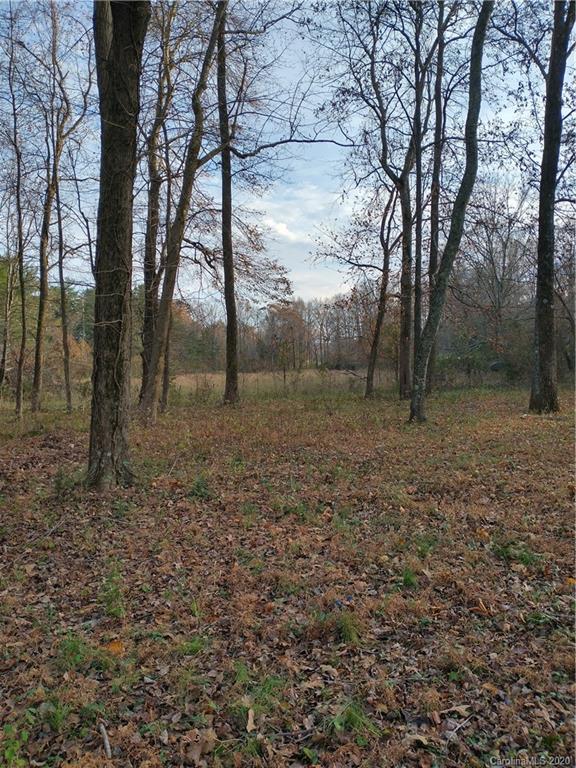 3200 Peniel Road Tryon, NC 28782 - Photo 36 of 44