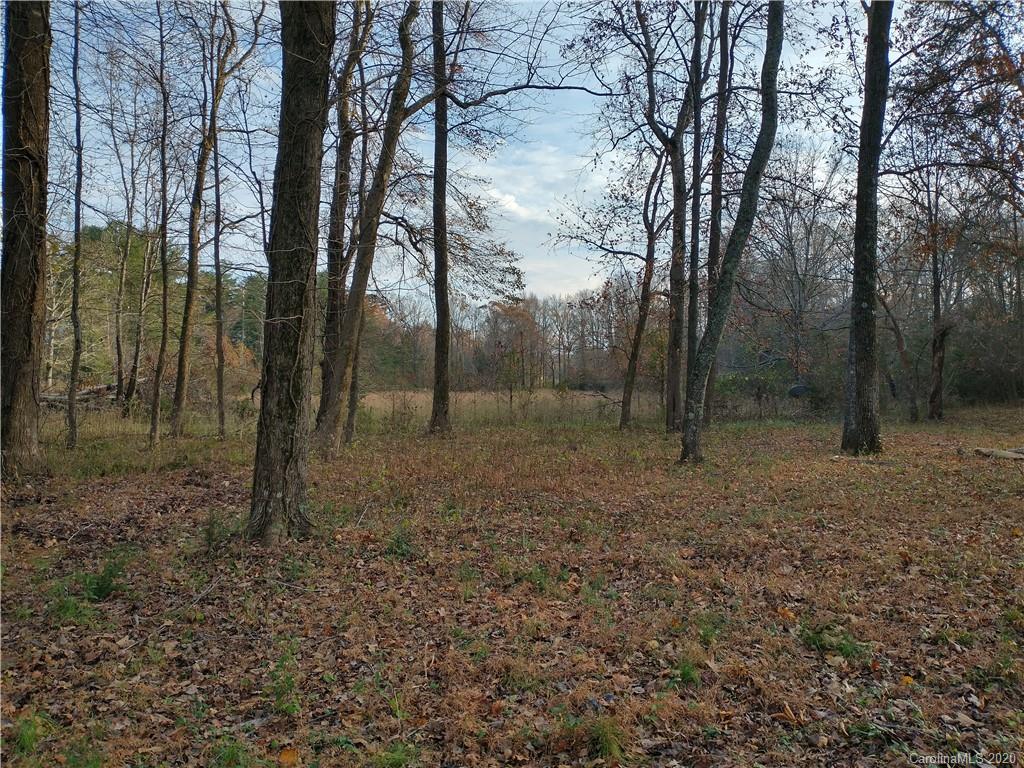 3200 Peniel Road Tryon, NC 28782 - Photo 37 of 44