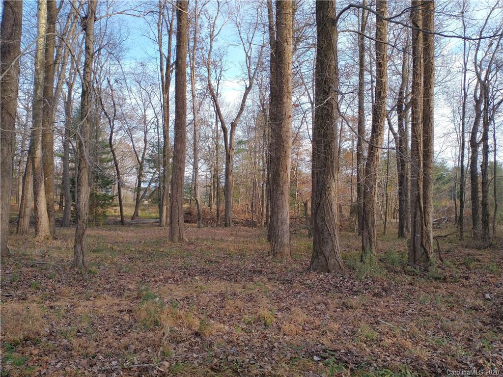 3200 Peniel Road Tryon, NC 28782 - Photo 38 of 44