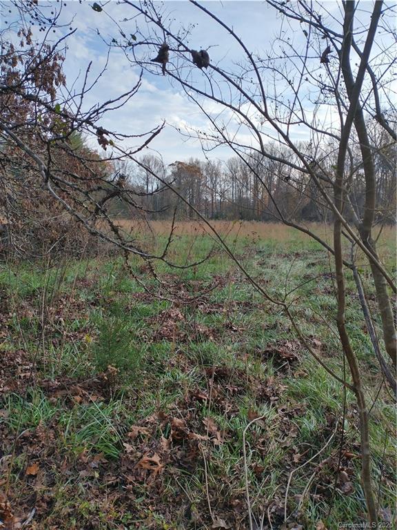 3200 Peniel Road Tryon, NC 28782 - Photo 44 of 44