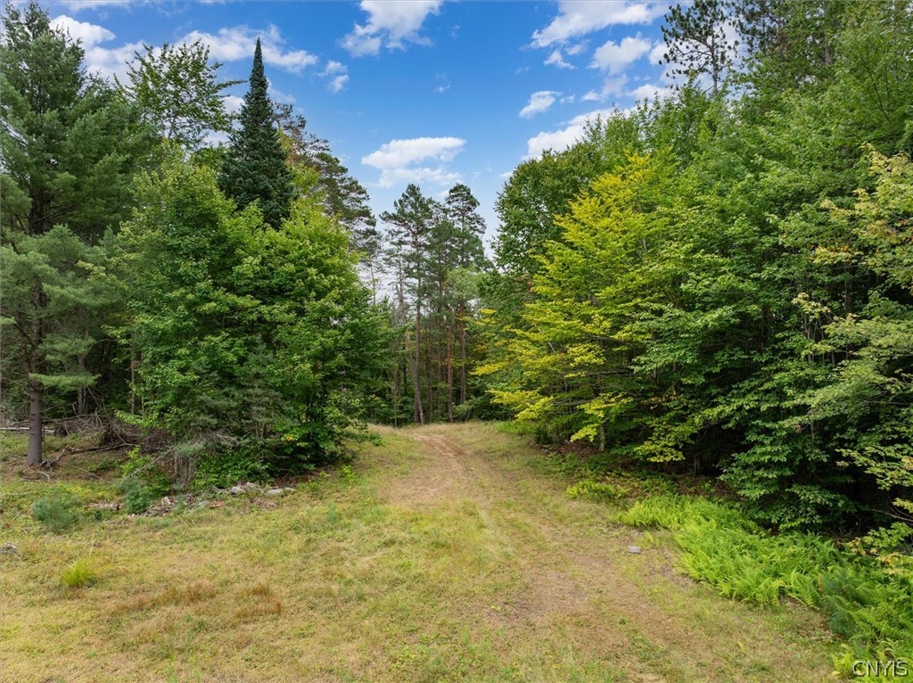 0 Piseco Road Stratford, NY 13470 - Photo 3 of 15 Gallery Image 3