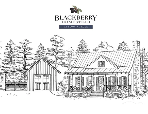 $1,200,000 | 9379 Blackberry Road, Lenoir, NC 28645