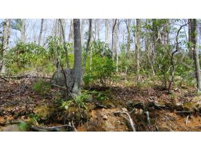 0 Oak Ridge Road Erwin, TN 37650 - Photo 1 of 5 Photo 1