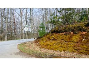 0 Oak Ridge Road Erwin, TN 37650 - Photo 2 of 5 Photo 2