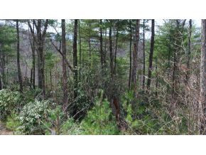 0 Oak Ridge Road Erwin, TN 37650 - Photo 3 of 5 Photo 3