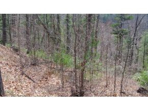 0 Oak Ridge Road Erwin, TN 37650 - Photo 5 of 5 Photo 5