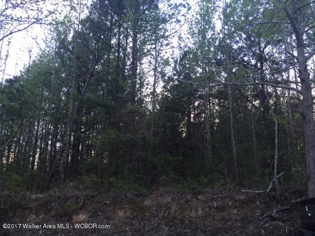 161 Shipp Road Warrior, AL 35180 - Photo 2 of 2 Gallery Image 2