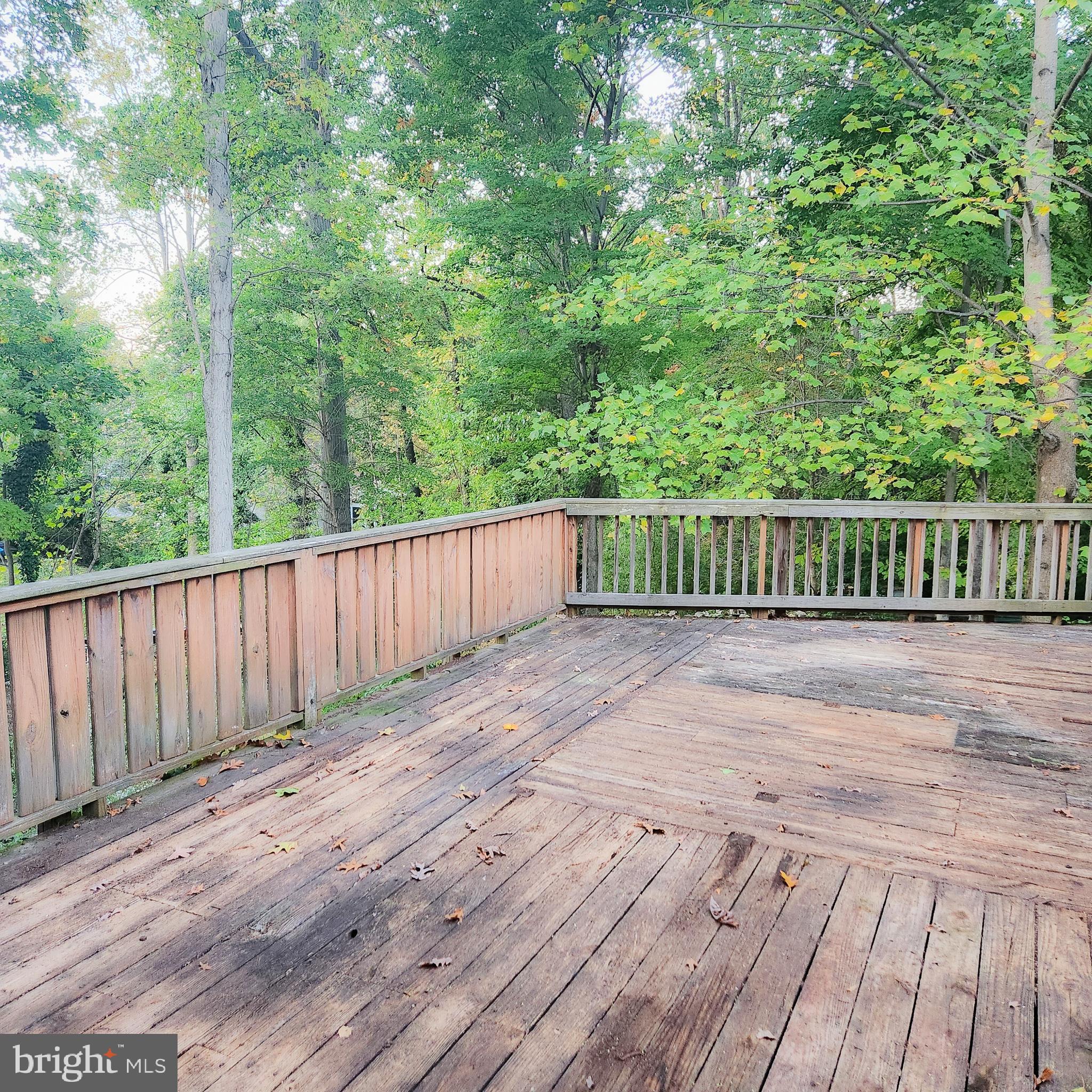 7712 Martel Place Springfield, VA 22152 - Photo 12 of 28