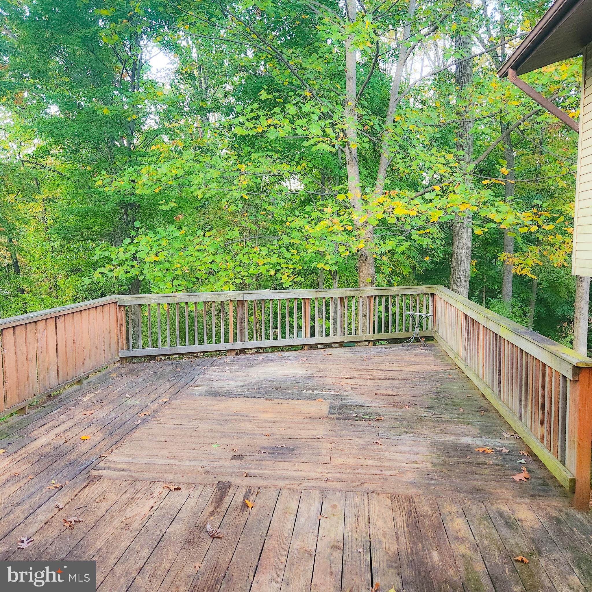 7712 Martel Place Springfield, VA 22152 - Photo 13 of 28
