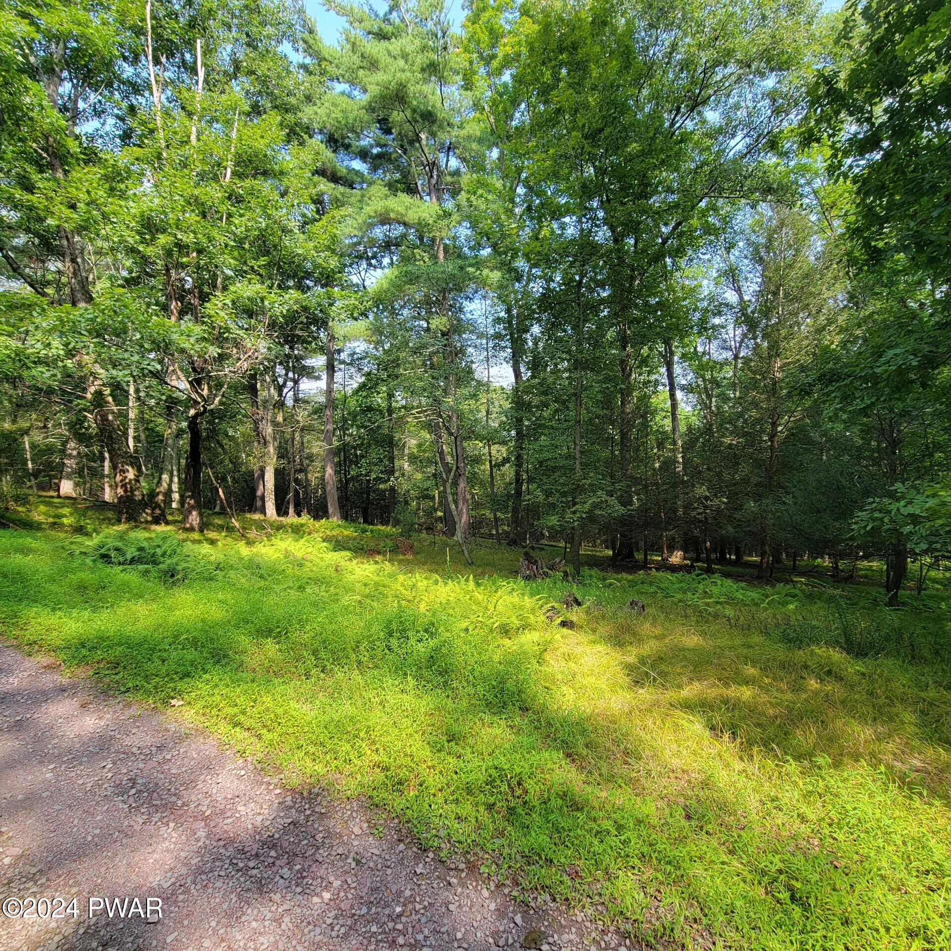 Lot 35 Pine Tree Road Gouldsboro, PA 18424 - Photo 2 of 8