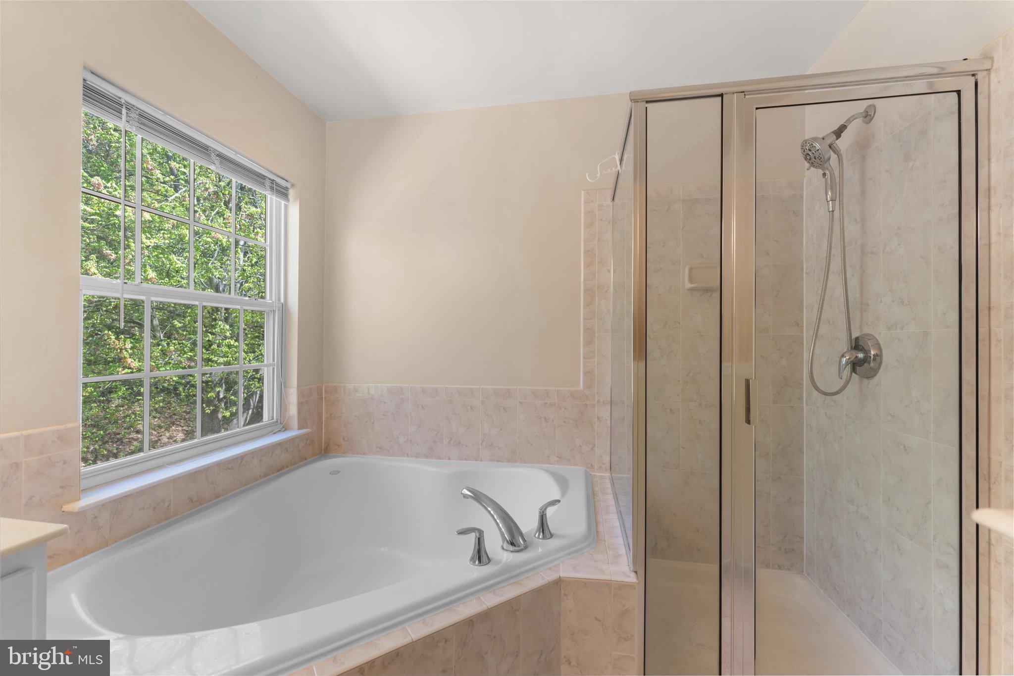 3068 Pony Ridge Turn Dumfries, VA 22026 - Photo 27 of 53 Soaking tub and shower