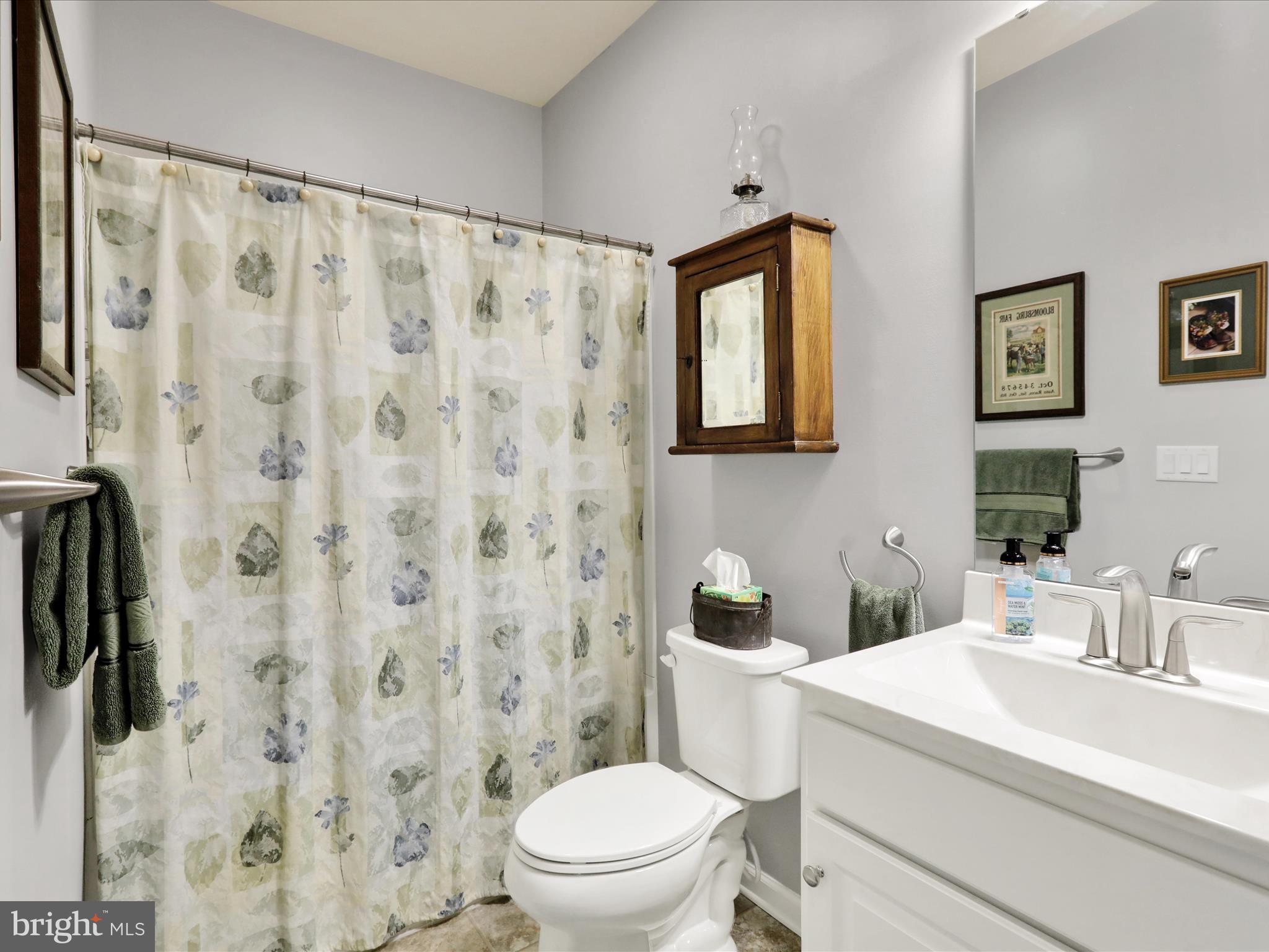647 Allegiance Drive Lititz, PA 17543 - Photo 17 of 51 a bathroom with a sink a toilet and a mirror