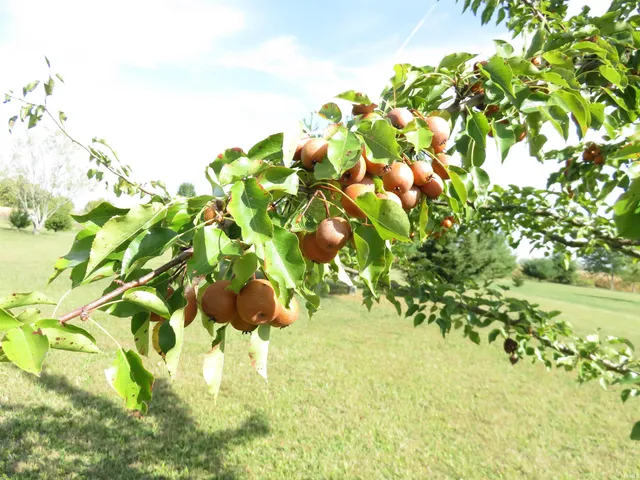 $185,000 | 176 South Wilbur Wright Road, New Castle, IN 47362