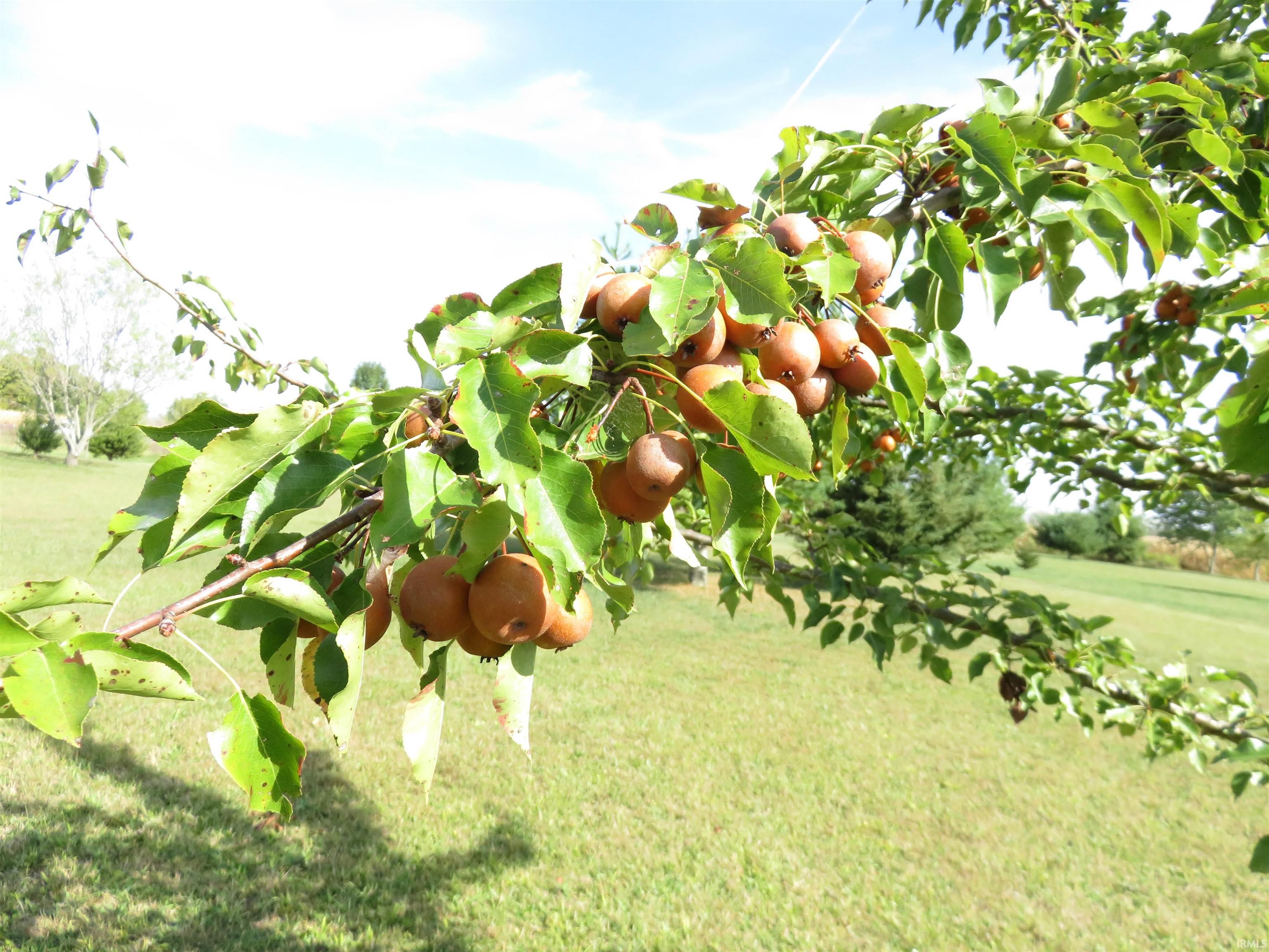 176 South Wilbur Wright Road New Castle, IN 47362 - Photo 28 of 36