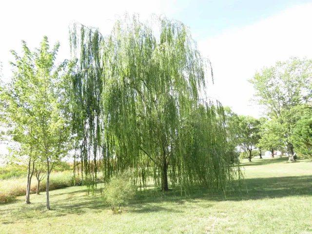 $185,000 | 176 South Wilbur Wright Road, New Castle, IN 47362