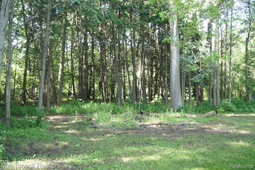 25675 Farmbrook Road Southfield, MI 48034 - Photo 54 of 58 2014-06-01 2014-06-01 001 029.jpg